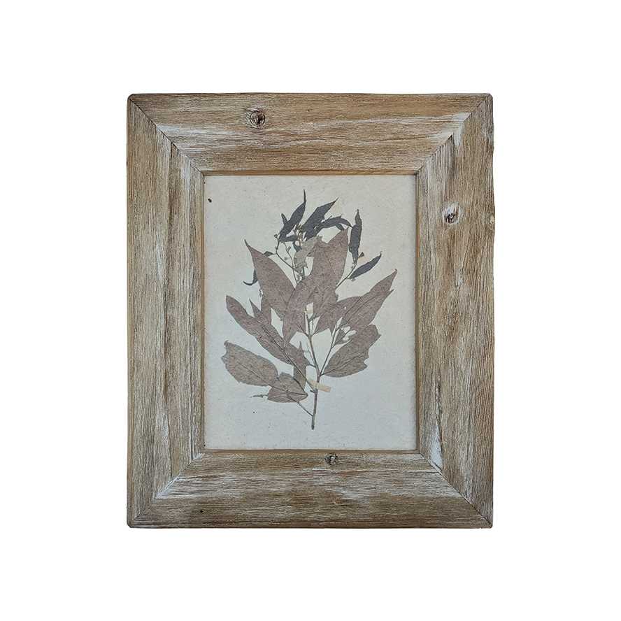 35.5"L White Wash Reclaimed Wood Specimen Leaf Framed Print, Produced by Recycled Paper, 100% Eco-Friendly!