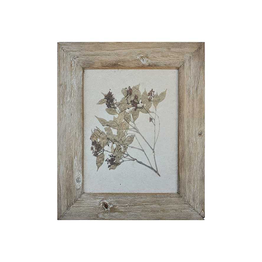 13.25"L White Wash Reclaimed Wood Specimen Leaf Framed Print
