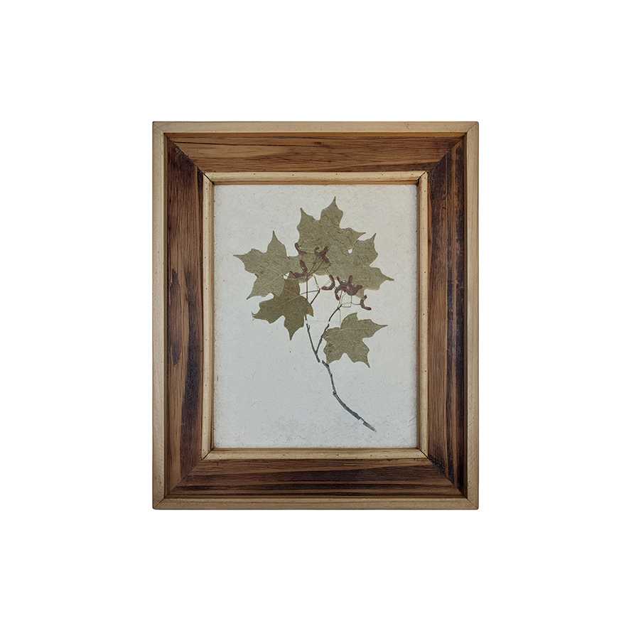 13.25"L Natural Reclaimed Wood Framed Specimen Leaf Print
